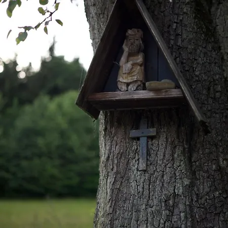 Stodola Glebuczek בית נופש Mystkow